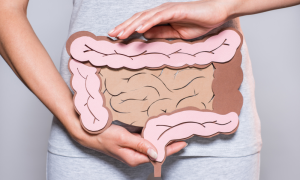 Intestino